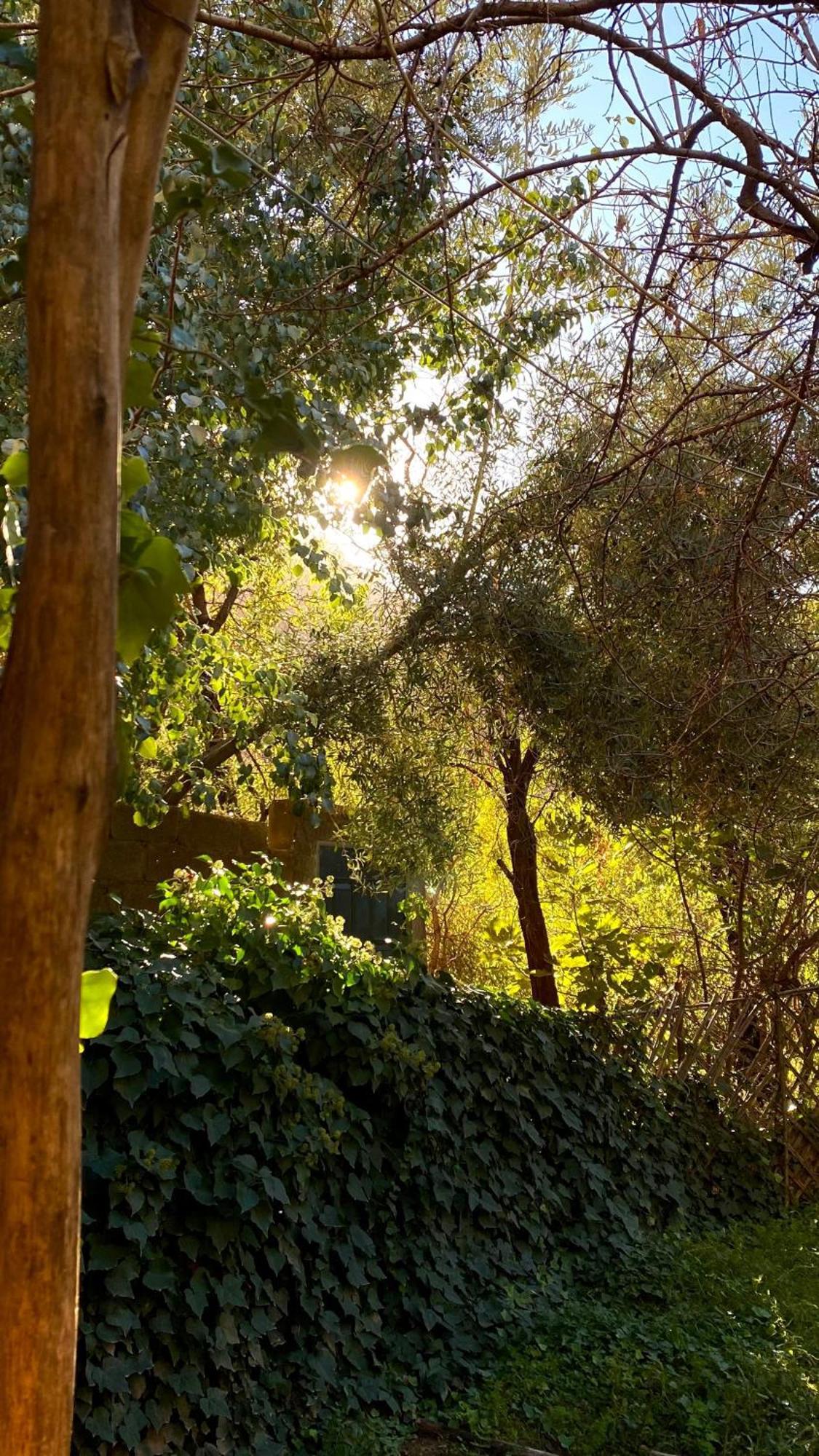 Dar Relax Hostel, Gorges De Todra Tinghir Exterior photo